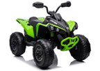 Electric Ride On CAN-AM Renegate Green – Electric Ride-On