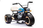 Battery-powered Tricycle LL6688 Blue 24V – Electric Ride-On