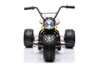 Battery-powered Tricycle LL6688 Blue 24V – view 5
