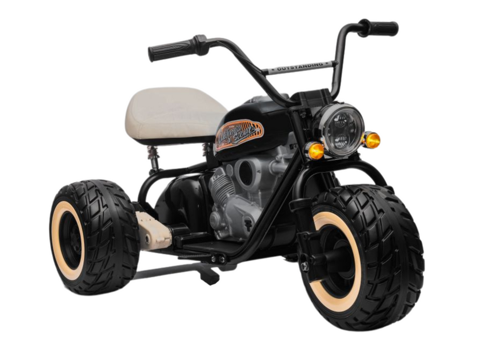 Battery-powered Tricycle LL6688 Black 24V – Electric Ride-On
