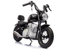 Battery-powered Motor A9902 36V Black – Electric Ride-On