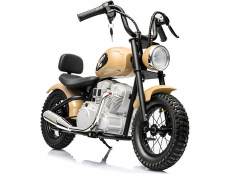 Battery Motor A9902 36V Khaki – Electric Ride-On